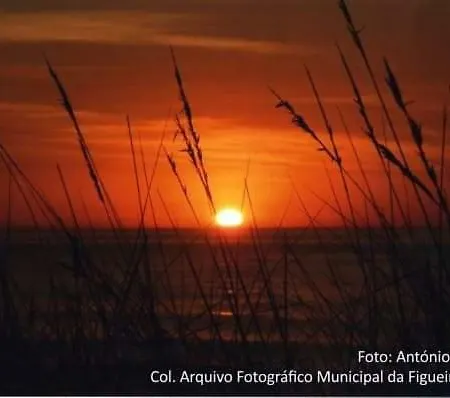Apartment Figueira House Al *